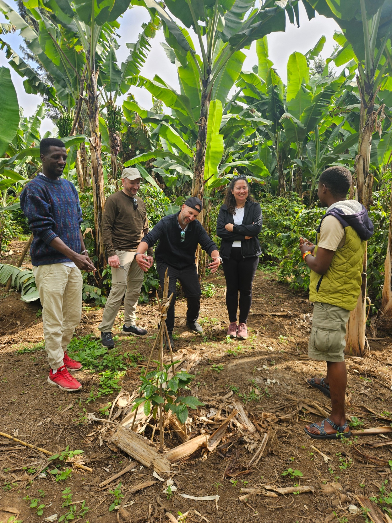 Coffee Tour (Arusha)