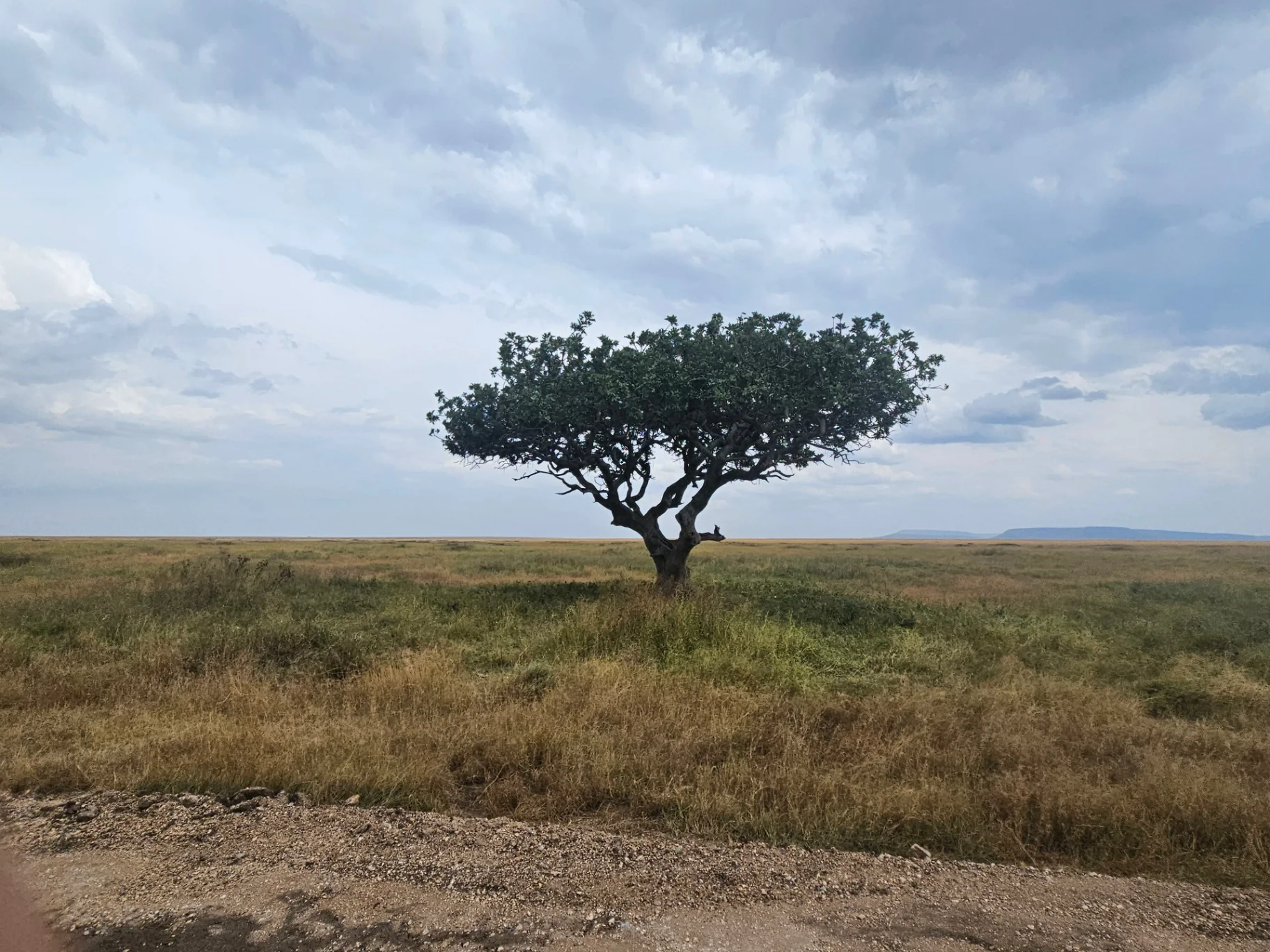 The Smooth Northern Circuit Safari