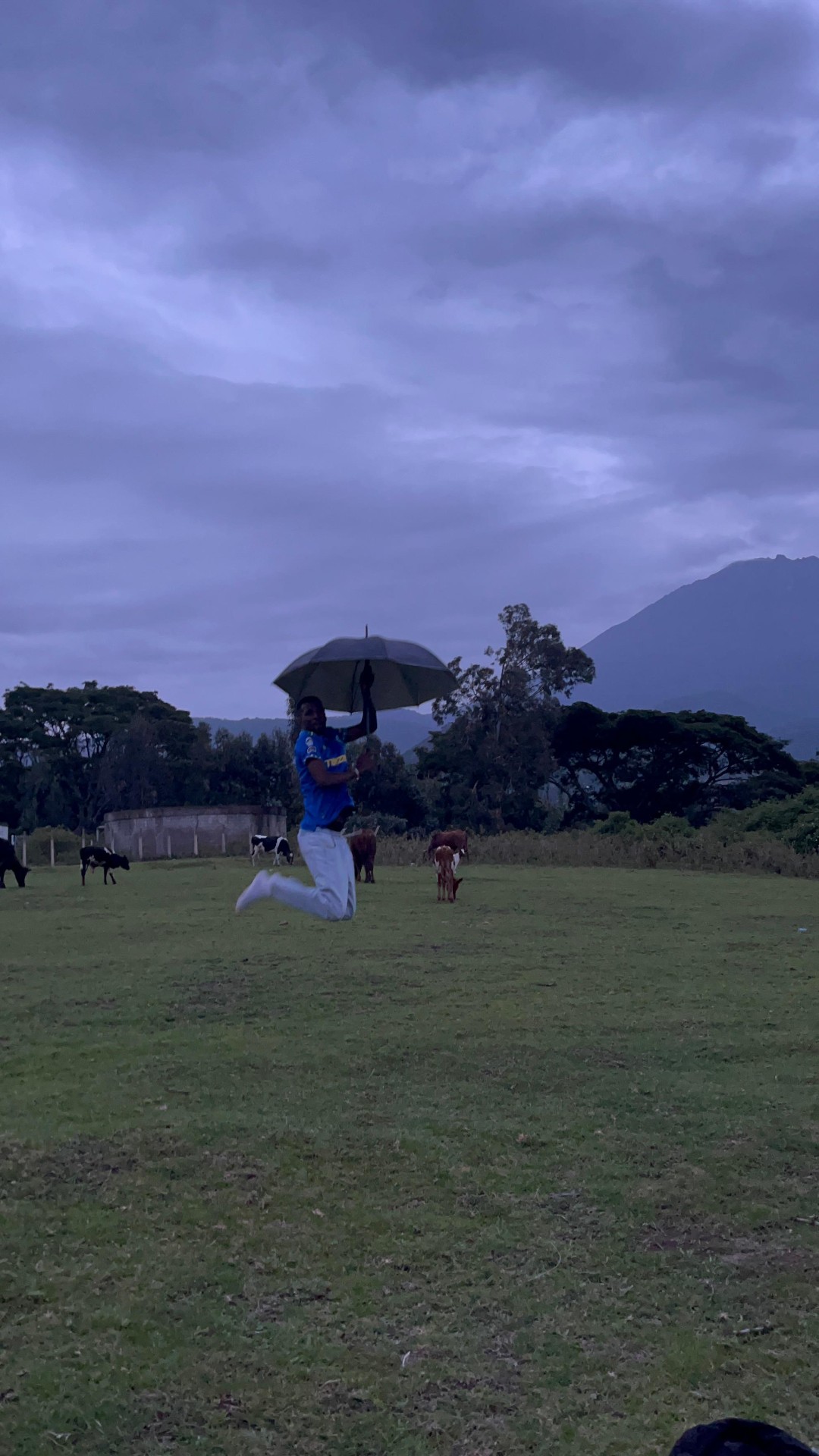 Mount Meru Day Trip: Arusha National Park to Miriakamba Hut