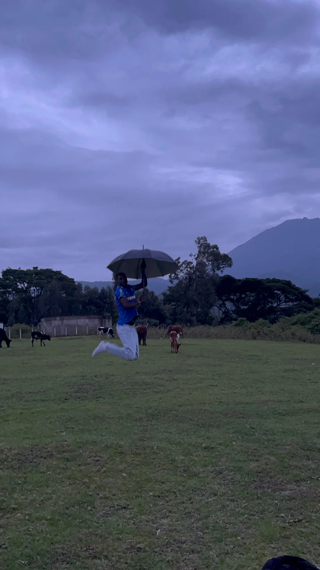 Mount Meru Day Trip: Arusha National Park to Miriakamba Hut