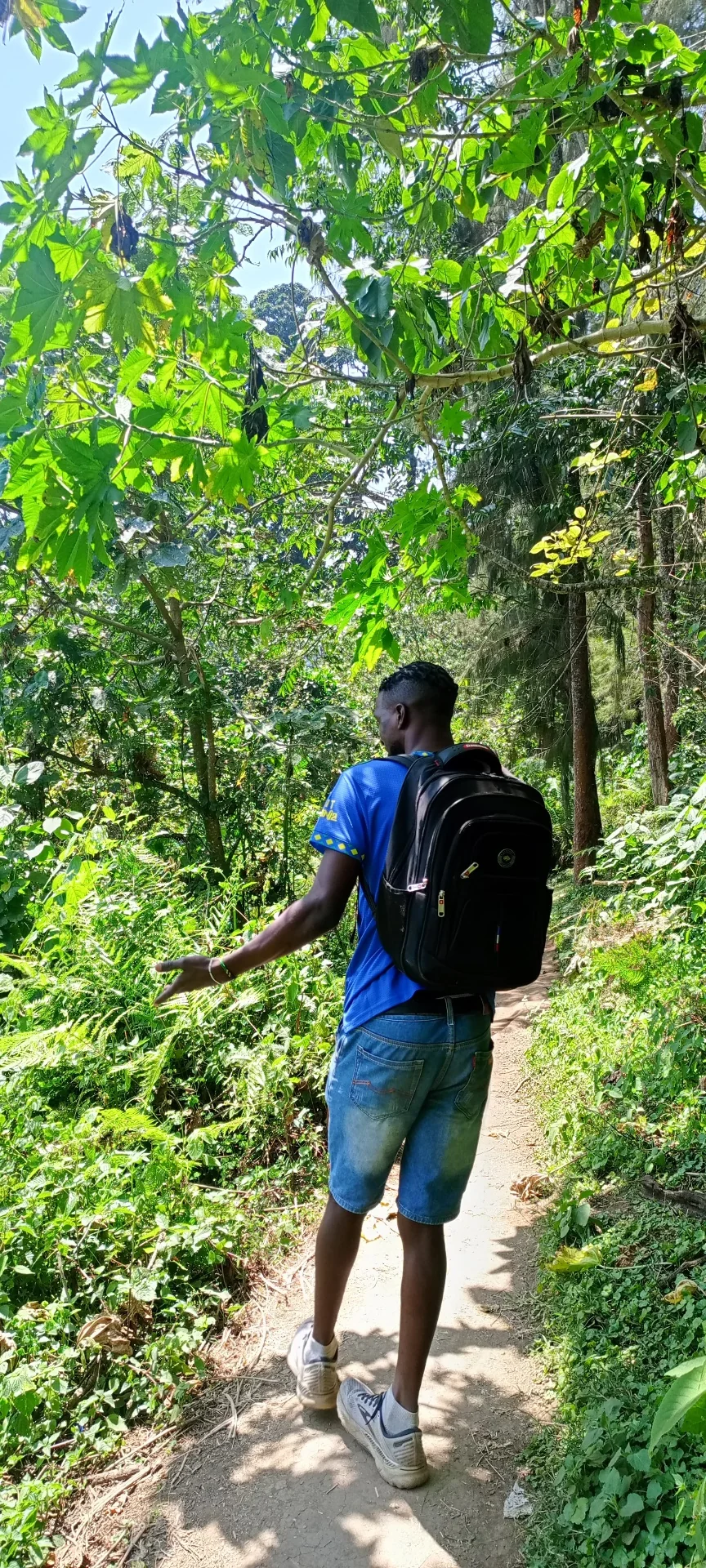 Rau Forest Eco-Reserve & Rice Fields Walk