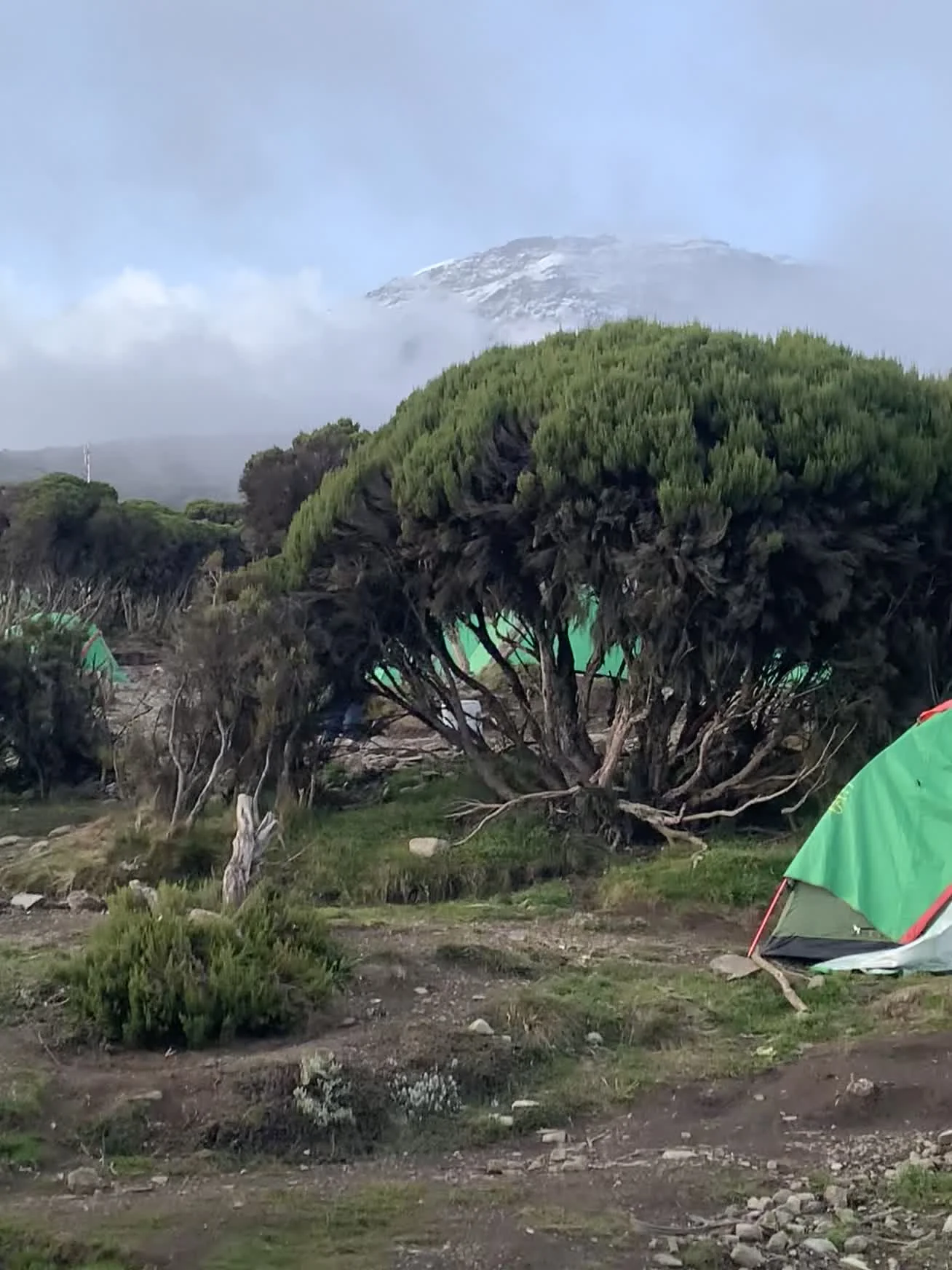 Mount Kilimanjaro — Lemosho Route