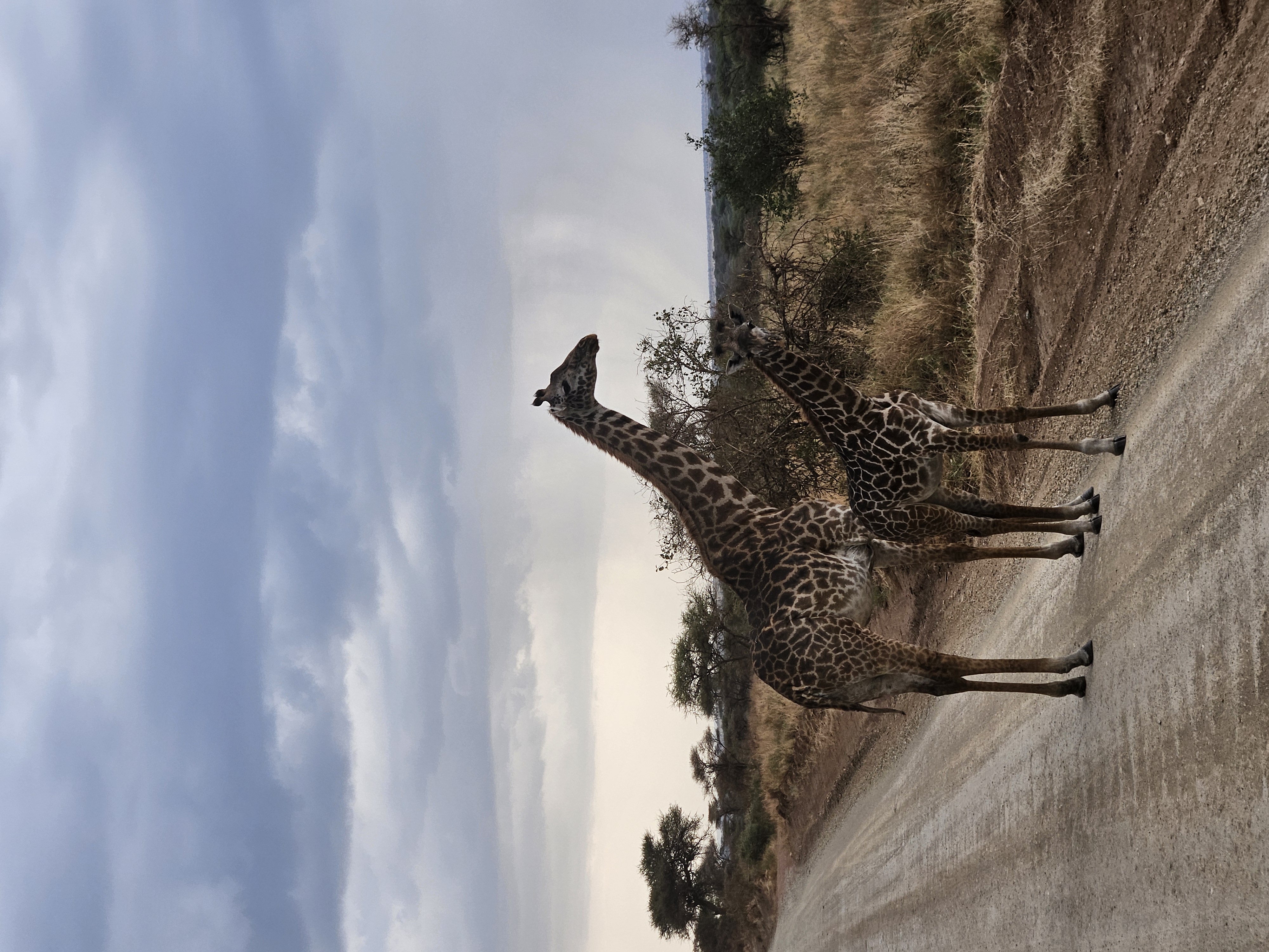 The Classic Serengeti & Beyond Safari