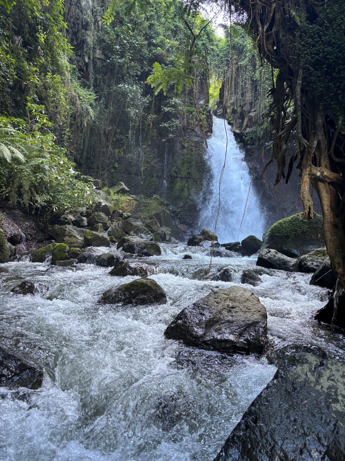 Mangalia Waterfall